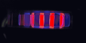 P3180163ss.jpg